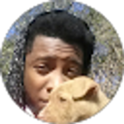 Profile photo of Alexander Davis