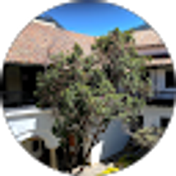 Profile photo of Lesly Penagos