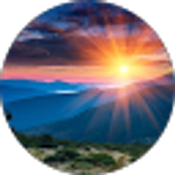 Profile photo of Andiamo!