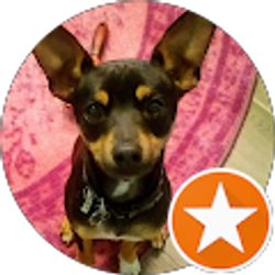 Profile photo of Kelsey Lipovac