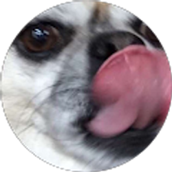 Profile photo of bigm526