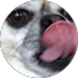 Profile photo of bigm526