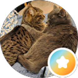 Profile photo of Stacy Fox
