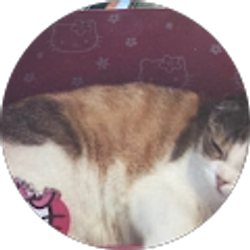 Profile photo of Miles jones