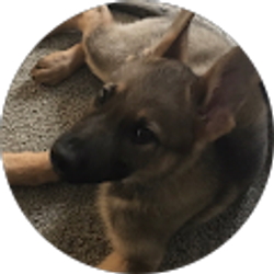 Profile photo of Susie Milano