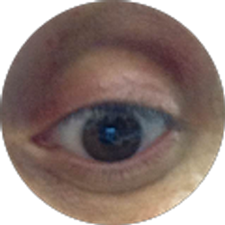 Profile photo of Jeff S