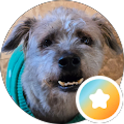 Profile photo of Stan K