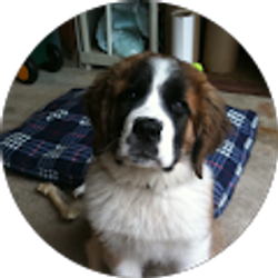 Profile photo of Michael Jay