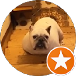 Profile photo of Anjani Vanegas