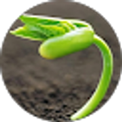 Profile photo of Dakota Shields