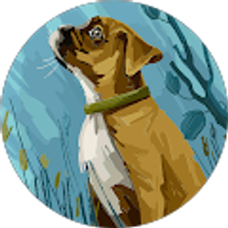 Profile photo of Allie mellow