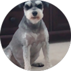 Profile photo of David Grgurich