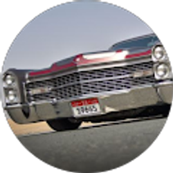 Profile photo of Troy Gibson