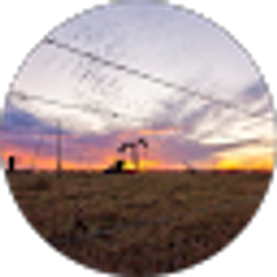 Profile photo of Kimberly Klaus