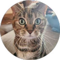 Profile photo of Jooji Bee