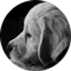 Profile photo of Wesley