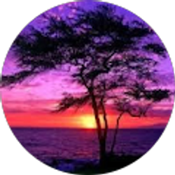 Profile photo of Erin Kirby