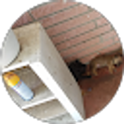 Profile photo of Jesse Ydrogo