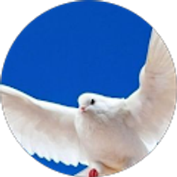 Profile photo of James Read