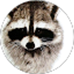 Profile photo of Nathan Storm