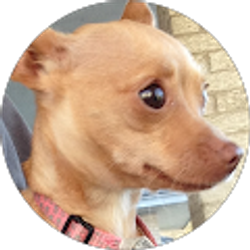 Profile photo of Brenda Luna