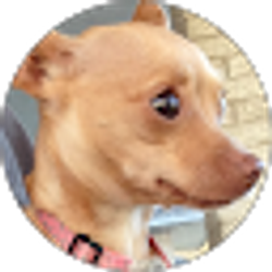 Profile photo of Brenda Luna