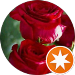 Profile photo of Jess Mason