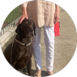 Profile photo of Ann King