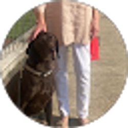 Profile photo of Ann King