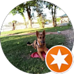 Profile photo of Joegeo.jones greatest hits vol 1 Bunch