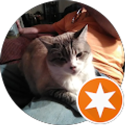 Profile photo of ValariAnne