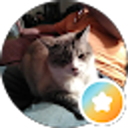 Profile photo of ValariAnne