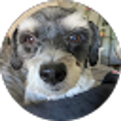 Profile photo of Aruna Chari