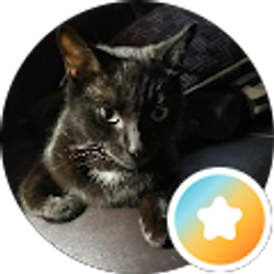 Profile photo of Wenona Koenig