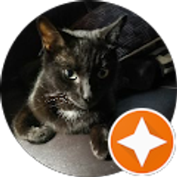 Profile photo of Wenona Koenig