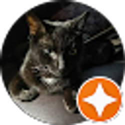 Profile photo of Wenona Koenig