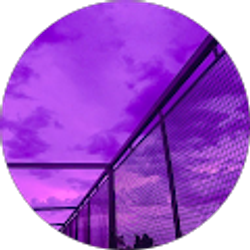 Profile photo of Avie S