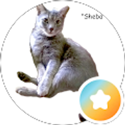 Profile photo of juntjoo nunya