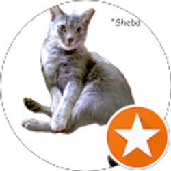 Profile photo of juntjoo nunya