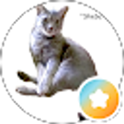 Profile photo of juntjoo nunya
