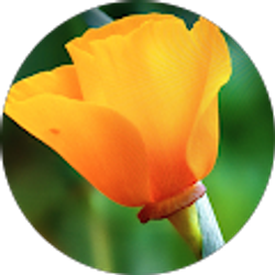 Profile photo of Geri Feeder