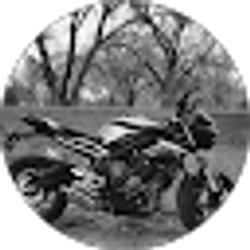 Profile photo of Christopher Durante