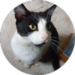 Profile photo of Darlene Upson