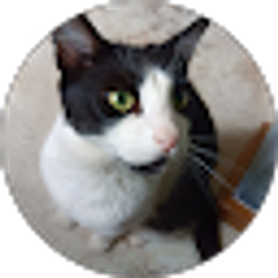 Profile photo of Darlene Upson