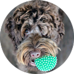 Profile photo of Tammy Lockhart