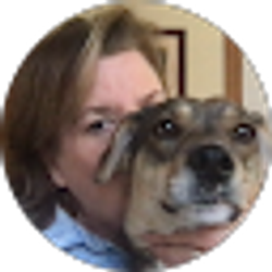 Profile photo of Kim Schafer