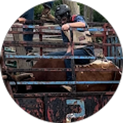 Profile photo of jordan curtiss