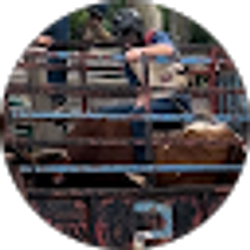 Profile photo of jordan curtiss