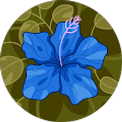 Profile photo of Moon