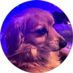 Profile photo of Eric Sie